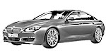 BMW F06 DF200 Fault Code